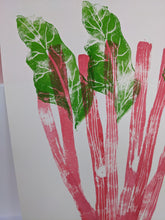 Load image into Gallery viewer, Close up of pink rhubarb stems and green leaves
