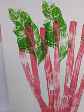Load image into Gallery viewer, Close up of pink rhubarb stems and green leaves