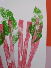Load image into Gallery viewer, Close up of pink rhubarb stems and green leaves