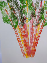 Load image into Gallery viewer, Close up of rainbow chard leaves