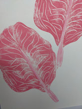 Load image into Gallery viewer, Close up of pink radicchio leaves
