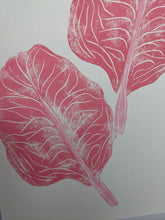 Load image into Gallery viewer, Close up of pink radicchio leaves