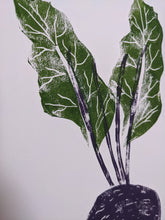 Load image into Gallery viewer, A close up of green leaves print