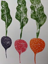 Load image into Gallery viewer, A print with three beetroot in purple, pink and orange with green leaves