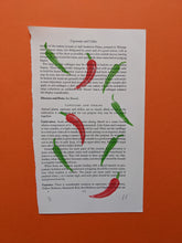 Load image into Gallery viewer, An old book page printed with green and red chilli peppers
