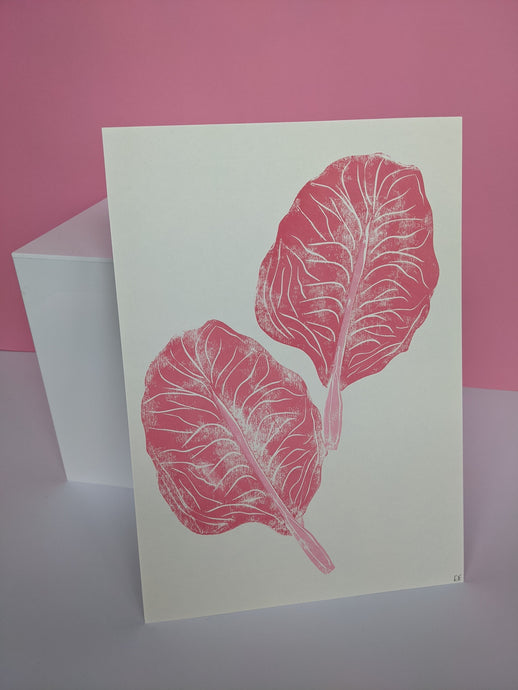 Pink radicchio leaves print