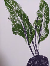 Load image into Gallery viewer, A close up of green leaves print
