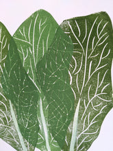 Load image into Gallery viewer, A close up of three green leaves print
