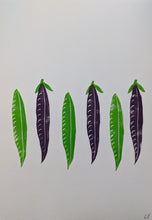 Load image into Gallery viewer, A close up of three green pea pods and three purple pea pods print
