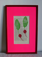 Load image into Gallery viewer, A pink frame filled with a radish print

