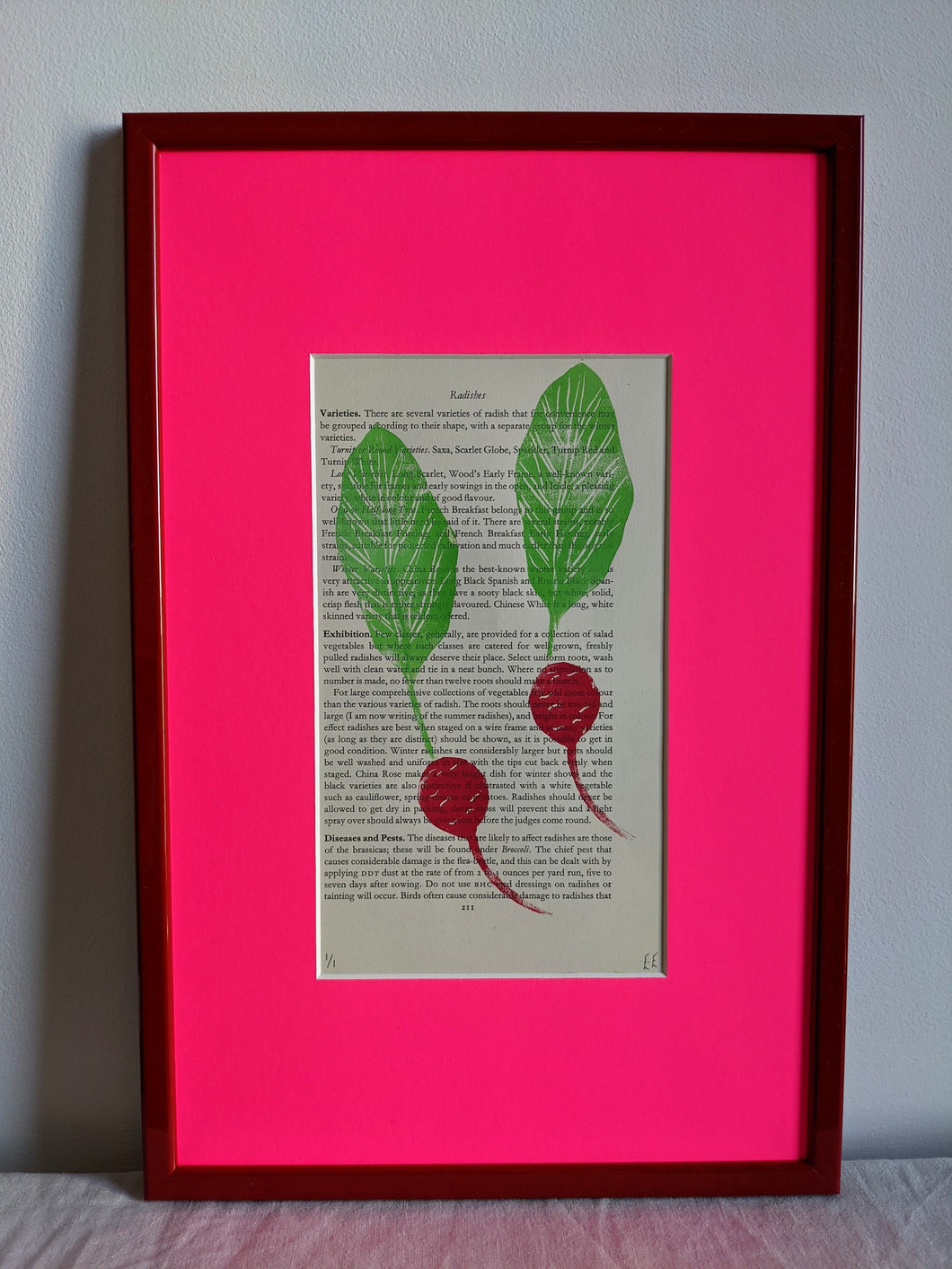 A pink frame filled with a radish print