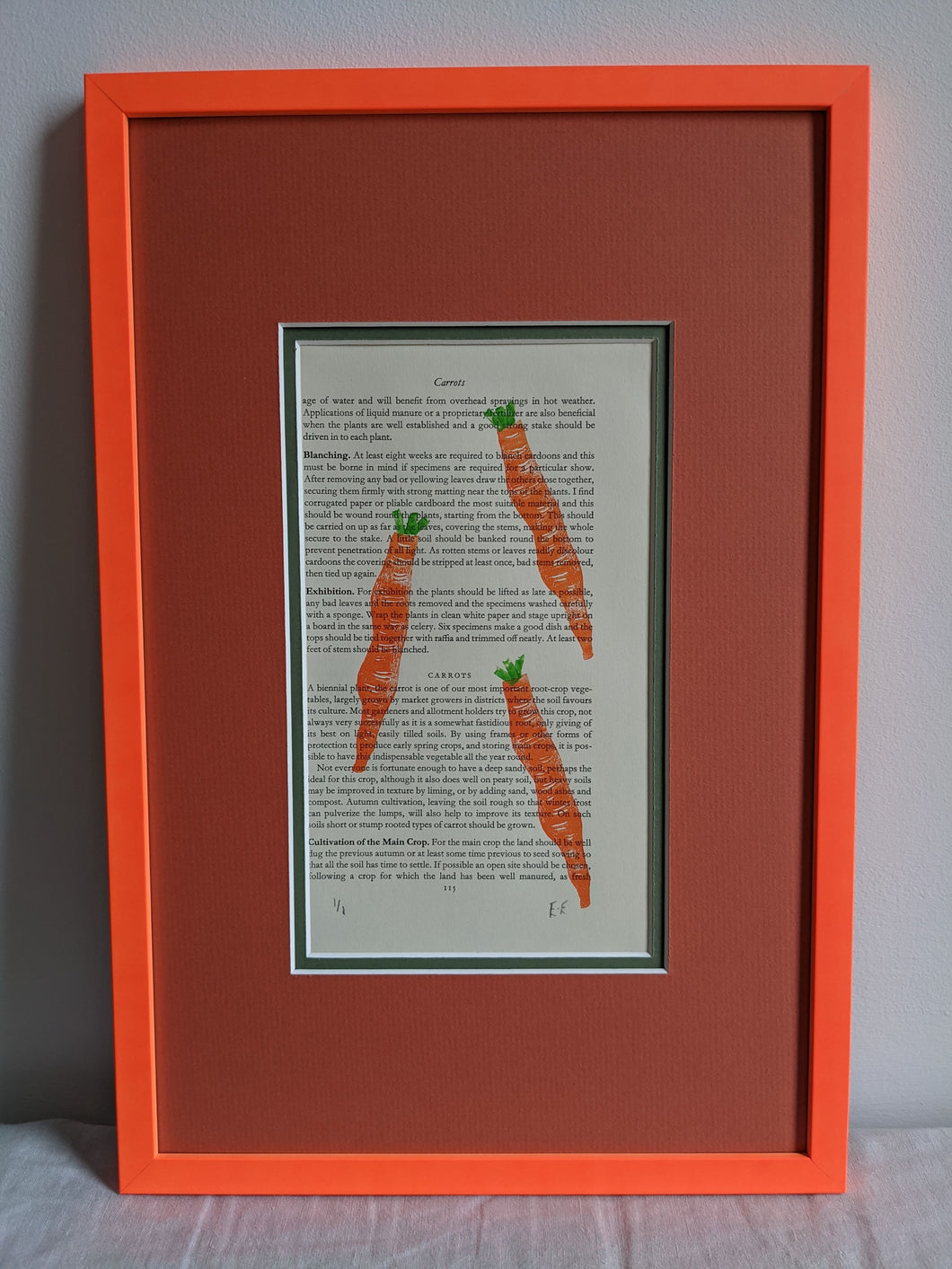 An orange frame with a carrot print on the inside