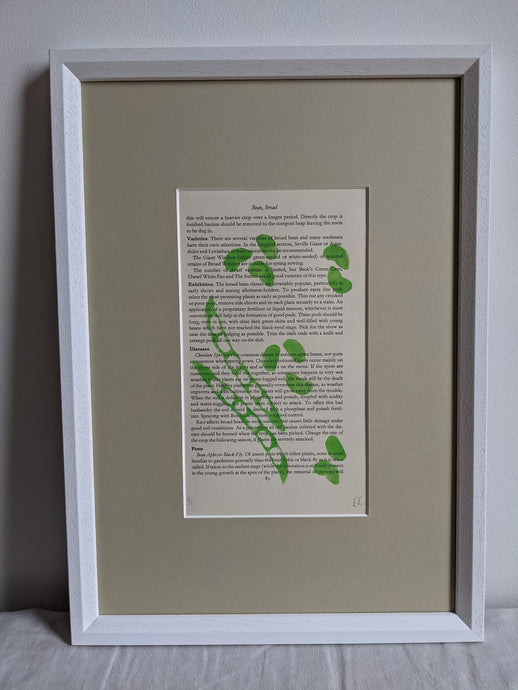 A white frame with a green broad bean print on the inside